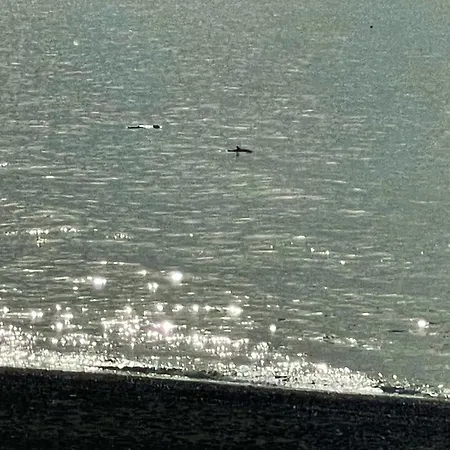 Апартаменты Casa Jardin Del Mar Эстепона