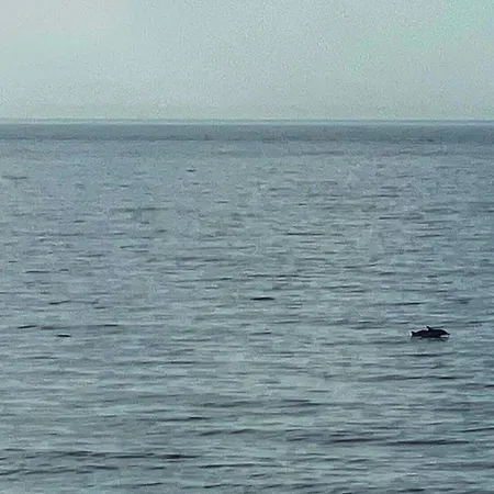 Apartament Casa Jardin Del Mar Estepona