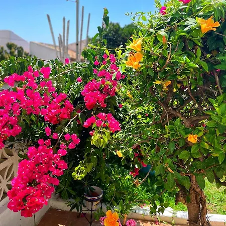 Apartament Casa Jardin Del Mar *