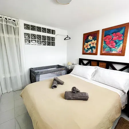 Casa Jardin Del Mar Apartment