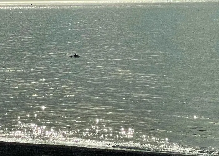 Casa Jardin Del Mar Estepona