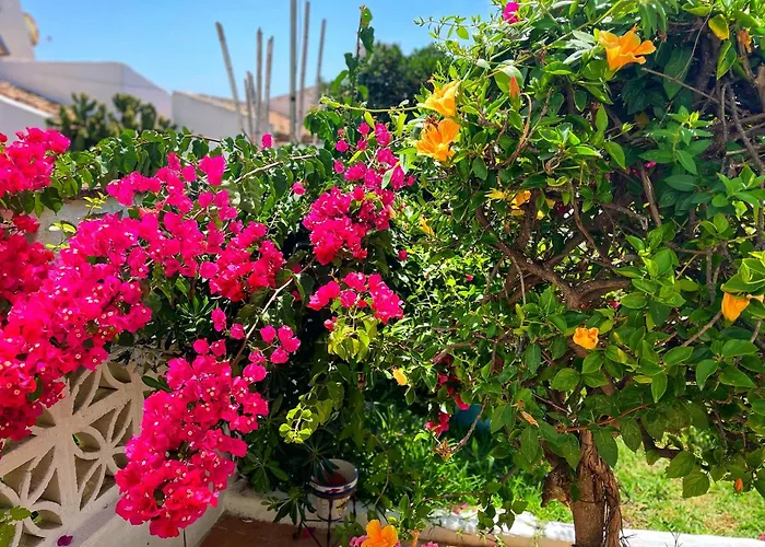 公寓 Casa Jardin Del Mar *