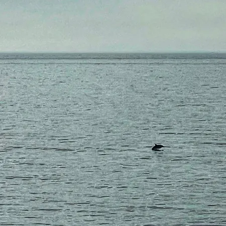 Casa Jardin Del Mar Estepona