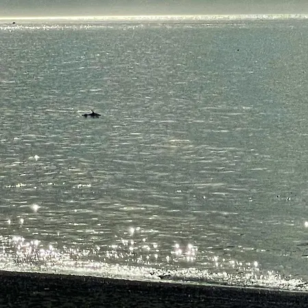 Casa Jardin Del Mar Estepona