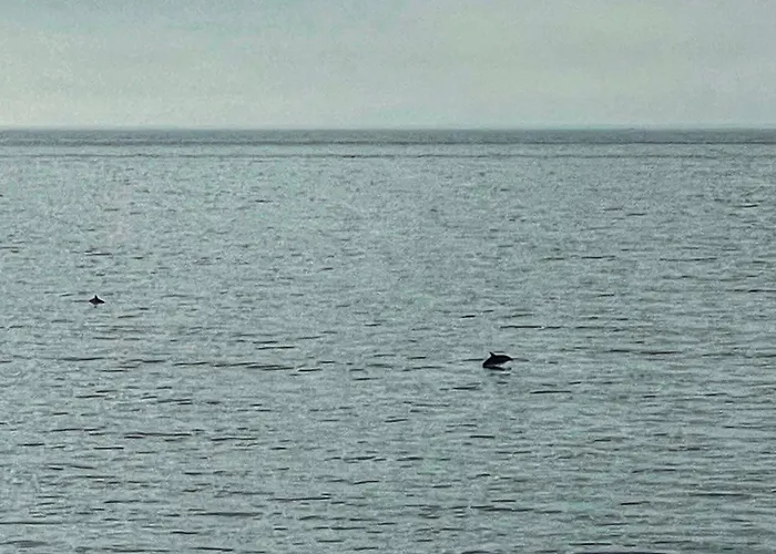 Casa Jardin Del Mar Estepona