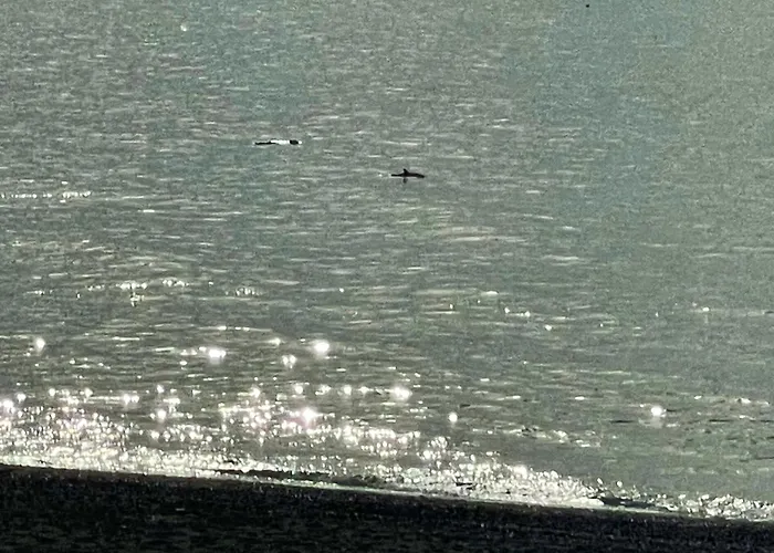 Apartment Casa Jardin Del Mar Estepona